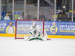 Image result for Basingstoke Bison Ice Hockey Club