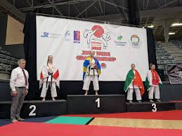 Image result for Sendai Kushiro Karate