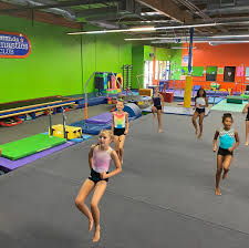 Image result for Aero Gymnastics Club