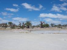 Fotos von Ulrike Luthardt auf Outdoor Momente - Kubu-Island-Baobabs-Botsuana-1012.220x176