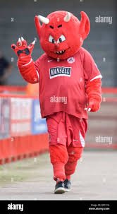 Image result for Crawley Town Football Club