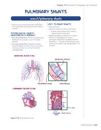 Image result for  v    q