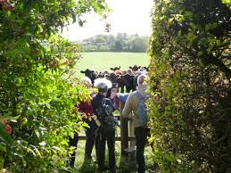 Image result for Cotswold Rambling Club