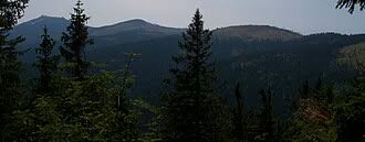 Image result for Enzian