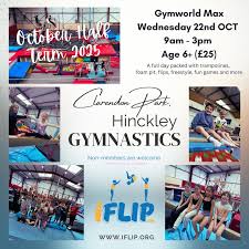 Image result for Hinckley Gymnastics Club