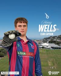 Image result for Wells Cricket Club