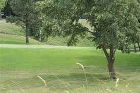 Image result for Tracy Park Golf & Country Club