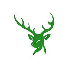 Image result for Southgate Adelaide Cricket Club