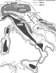 Image result for Salmo zrmanjaensis