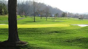 Image result for Abingdon G C