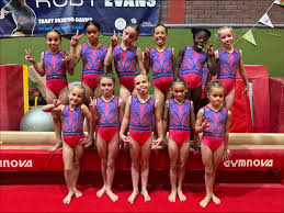 Image result for Cardiff Olympic Gymnastics Club