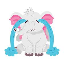 Image result for sad elephant