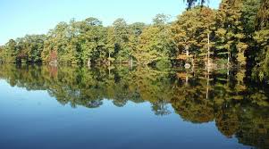 Image result for Lawson Park Bowling Club