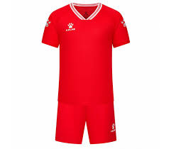 Image result for Интернет магазин футболка футбольная