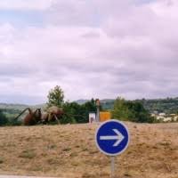 Attēlu rezultāti vaicājumam “Drepanosiphum platanoidis exuvia”