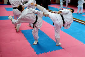 Image result for Cornwall Tae Kwon-Do