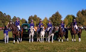 Image result for Thames Valley Riding Club