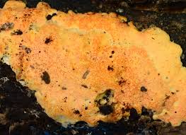 Attēlu rezultāti vaicājumam “Hypomyces armeniacus”