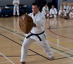 Image result for Jutsu Karate Association, Cobham, Surrey