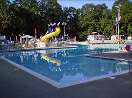 Image result for Chesterfield Swimming Club
