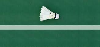 Image result for Racqueteers Jnr (Ashford) Badminton Club