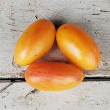 Afbeeldingsresultaat voor blushing yellow tomato