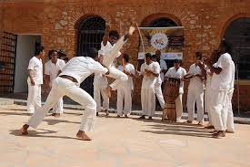 Image result for Brazilian-martial arts