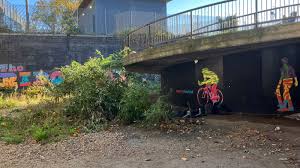 Image result for Greenwich Borough  - Plumstead