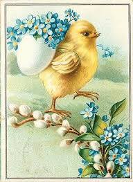 Attēlu rezultāti vaicājumam “Grus grus eggs”