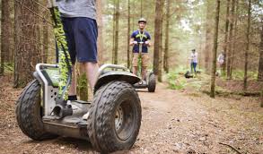 Image result for Go Ape! Whinlatter