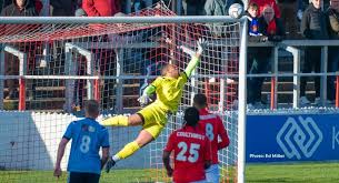 Image result for Ashford Tanners Handball Club