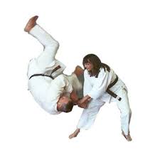 Image result for Chang's Hapkido Club