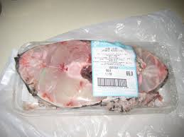 Image result for Argyrosomus japonicus