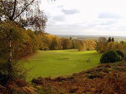 Image result for Dorking Golf Club