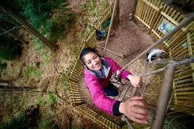 Image result for Go Ape! Dalby