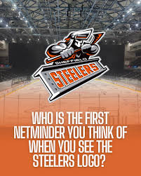 Image result for Sheffield Steelers