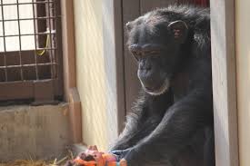 Fun & Info @ Keralites.net