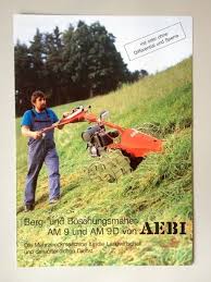 Image result for aebi tehron