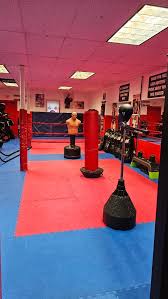 Image result for New Path Martial Arts Academy