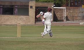 Image result for Elthorne Cricket Club