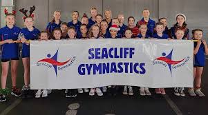 Image result for Aero Gymnastics Club