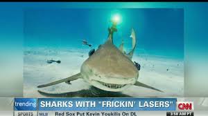 Image result for sharks lasers
