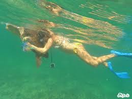 Image result for TAL Divers