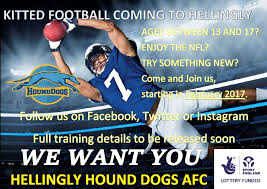 Image result for Hellingly Cricket Club