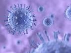 Antioxidants Could Be H1N1 Influenza's Achilles Heel | SciSeek ...