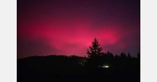 Afbeeldingsresultaat voor northern lights tomato