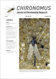 Attēlu rezultāti vaicājumam “Cricotopus male”