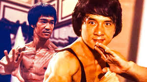 Image result for Hidden Dragon Karate-Do