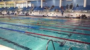 Image result for Garston Swimming Club