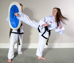 Image result for ENGLISH INTERNATIONAL ALLSTYLES TAEKWONDO